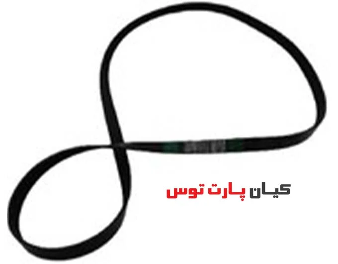 تسمه دینام فیدلیتی الیت